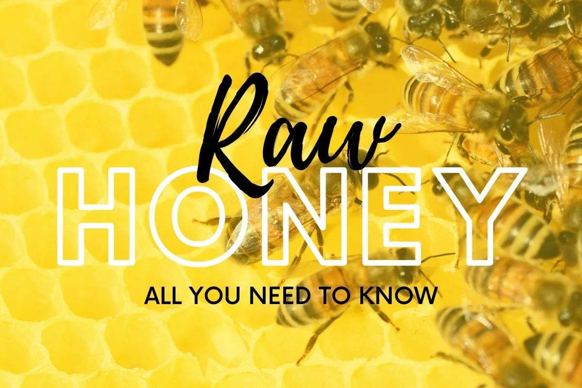 Raw Honey: All You Need to Know - Forest Fresh Honey