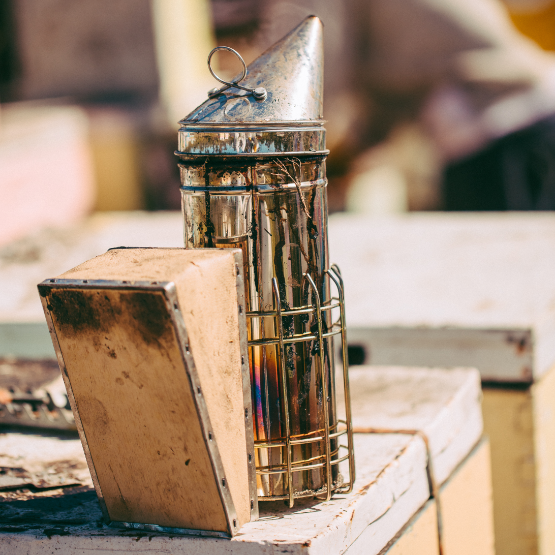 Forest Fresh Honey