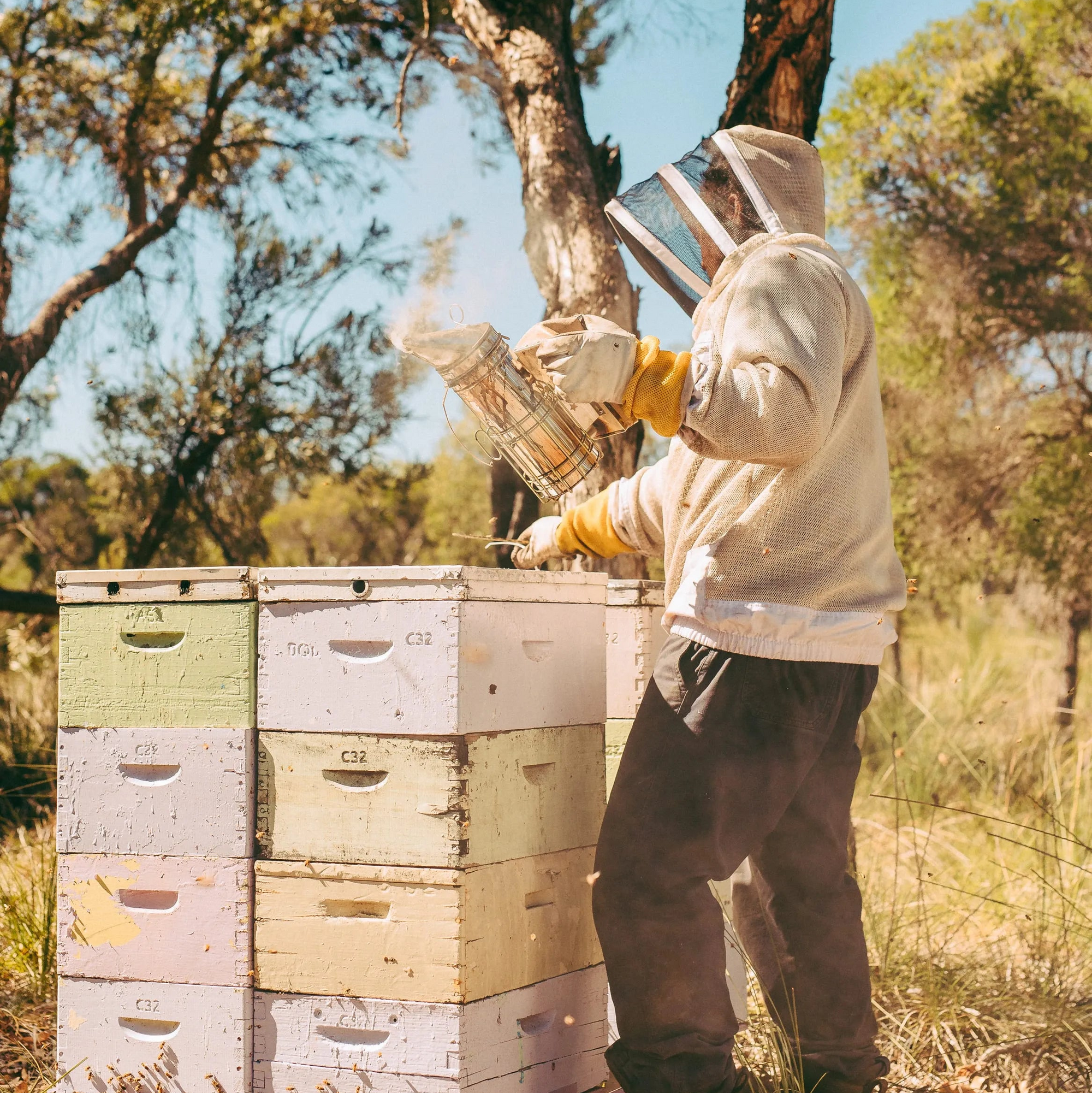 Forest Fresh Honey