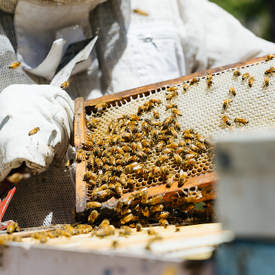 Why Does It Feel Like Your Family Is Always Sick?