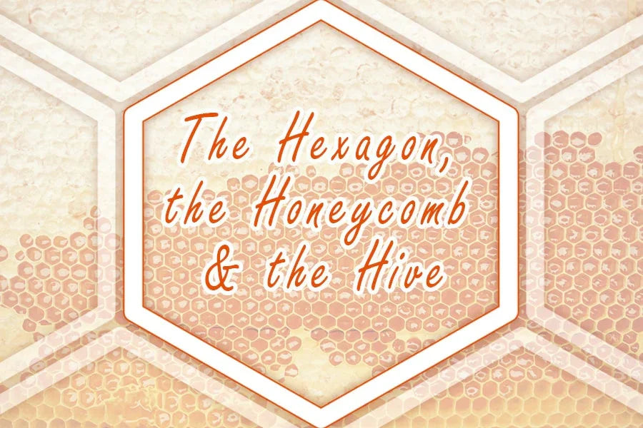 The Hexagon, The Honeycomb and The Hive - Forest Fresh Honey