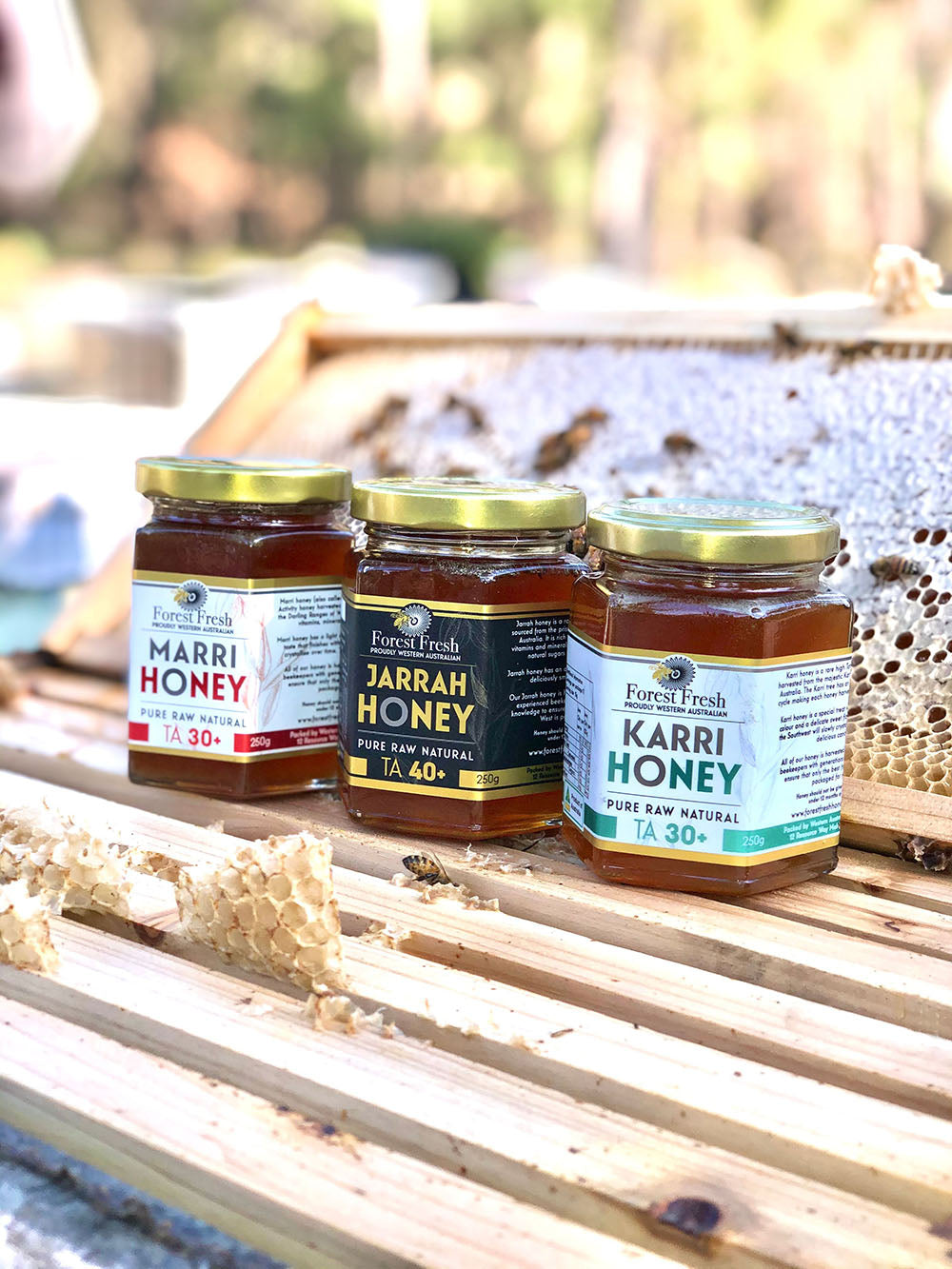 active honey gift set