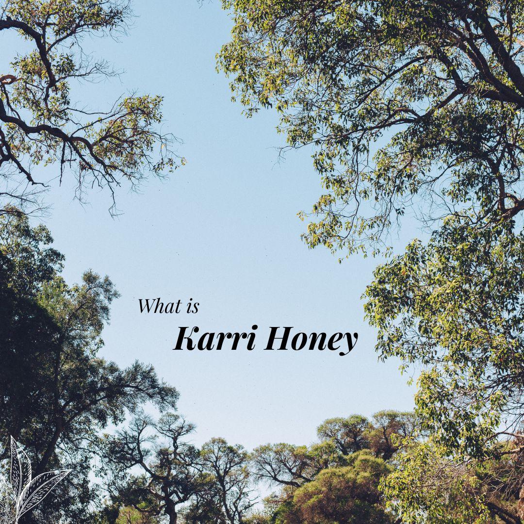 Exclusively Western Australian Karri Honey - Forest Fresh Honey