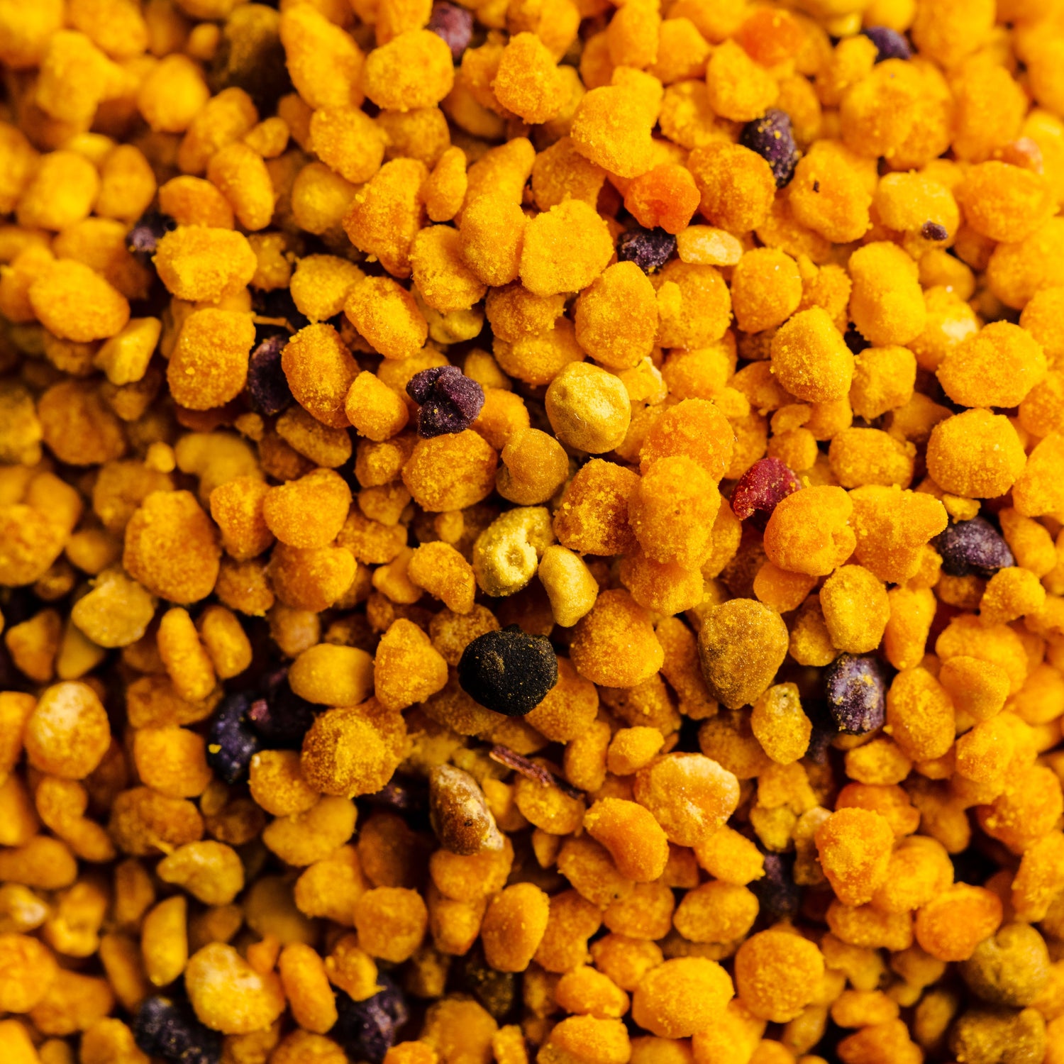 Bee Pollen Benefits: Why This Superfood May Support Natural Immune Wellness in Your Diet