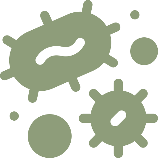 Immune Support