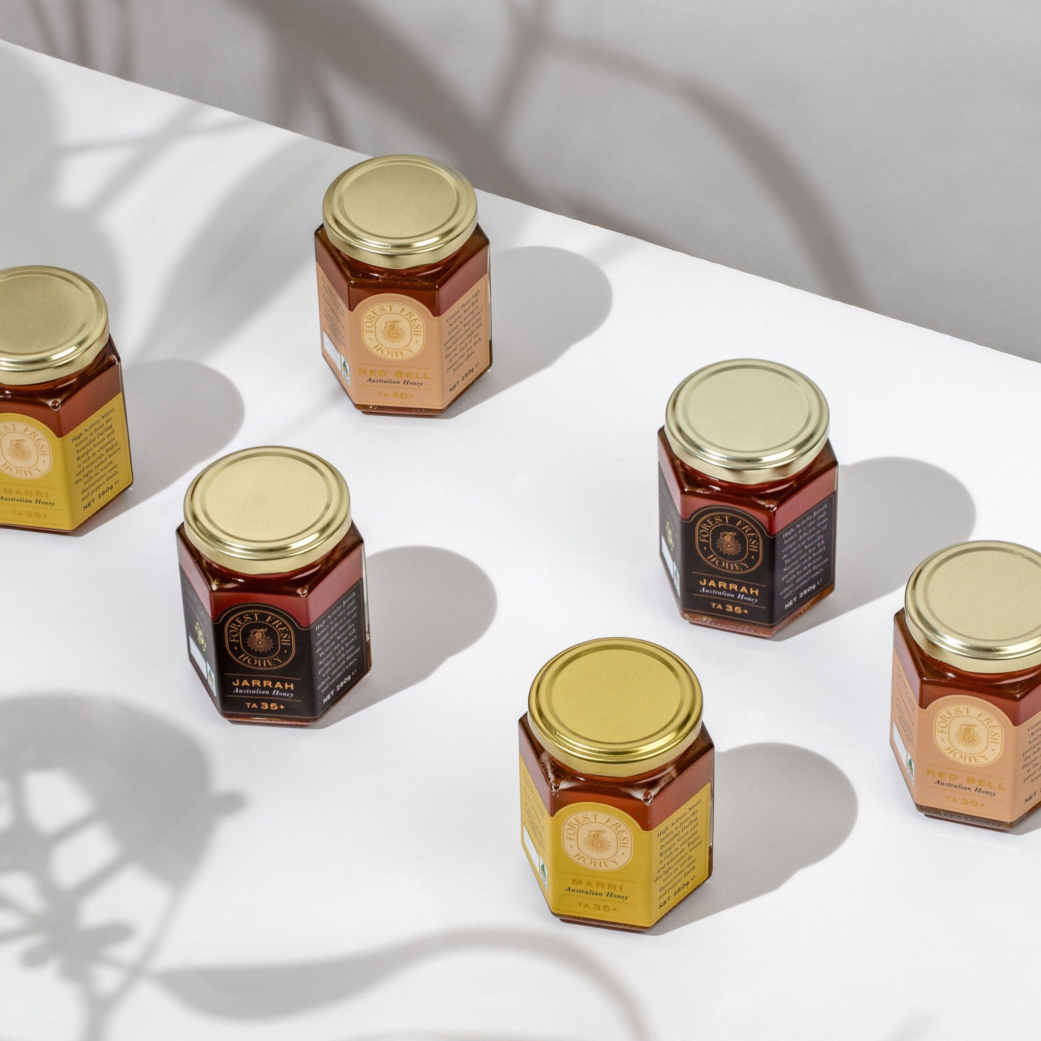 500g Forest Fresh Gift Set - Forest Fresh Honey