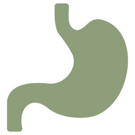 Gut & Digestion