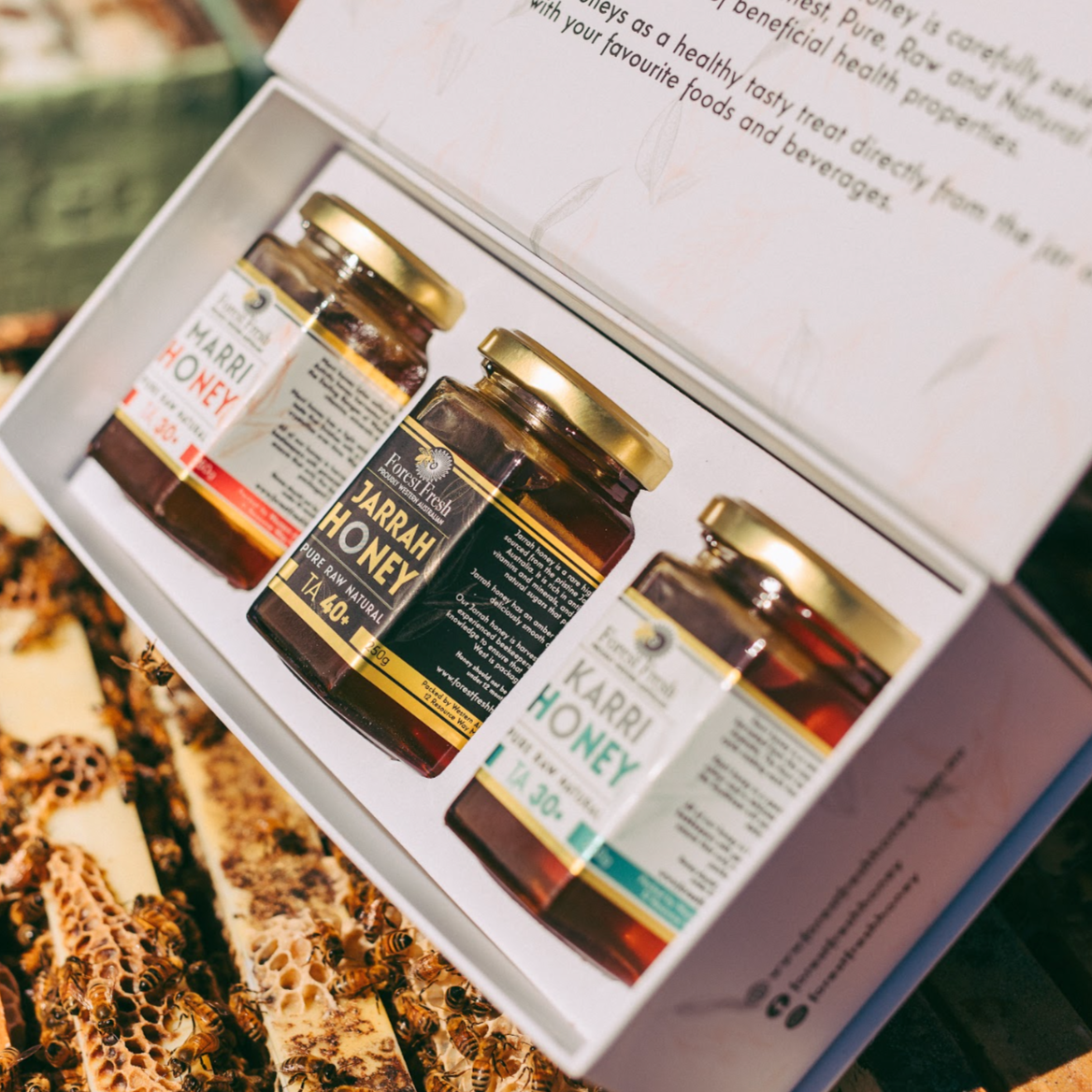 750g Premium Raw Honey Gift Set