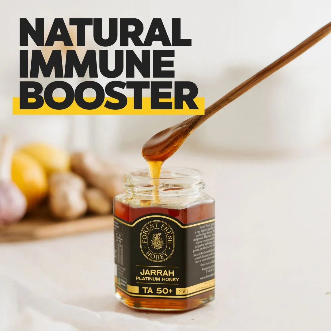 Jarrah Platinum TA50+ (MGO 4000+ equiv) (Copy) - Forest Fresh Honey
