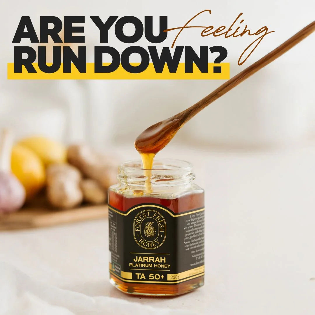 Jarrah Platinum TA50+ (MGO 4000+ equiv) (Copy) - Forest Fresh Honey