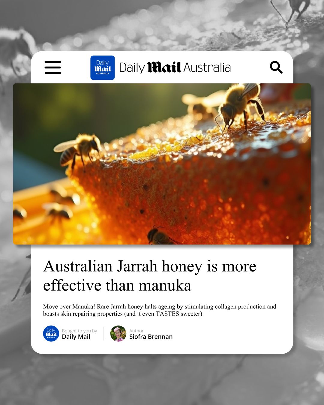 Jarrah Platinum TA50+ Raw Honey