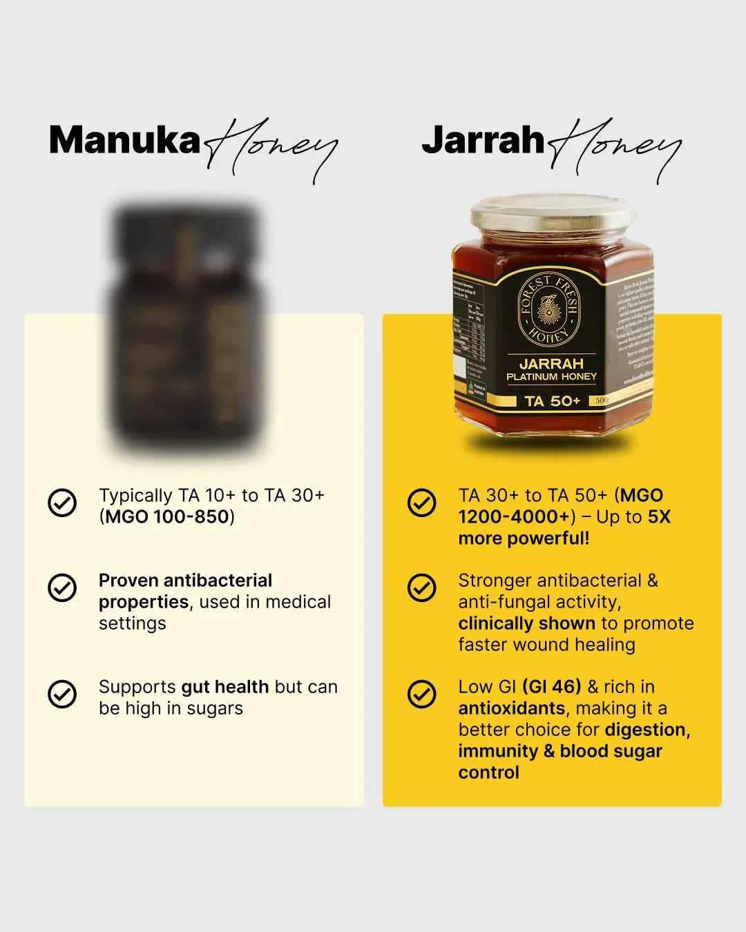 Jarrah Platinum TA50+ (MGO 4000+ equiv) (Copy) - Forest Fresh Honey
