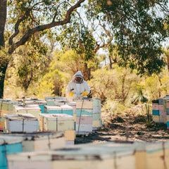 honey bulk purchases