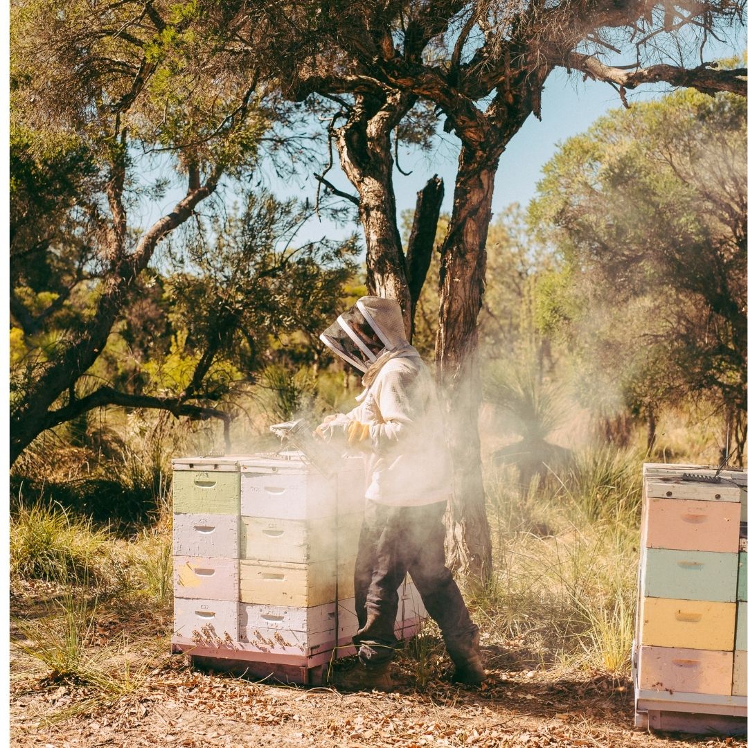 forest fresh honey beekeeper