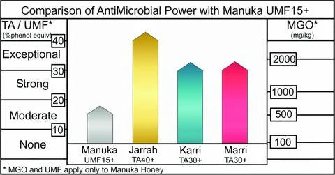 Raw Active Jarrah Honey TA40+ - Forest Fresh Honey