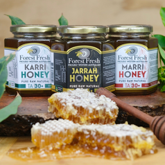 premium raw honey gift set