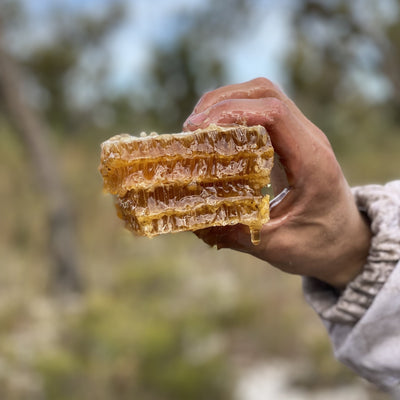 fresh western australian honeycomb